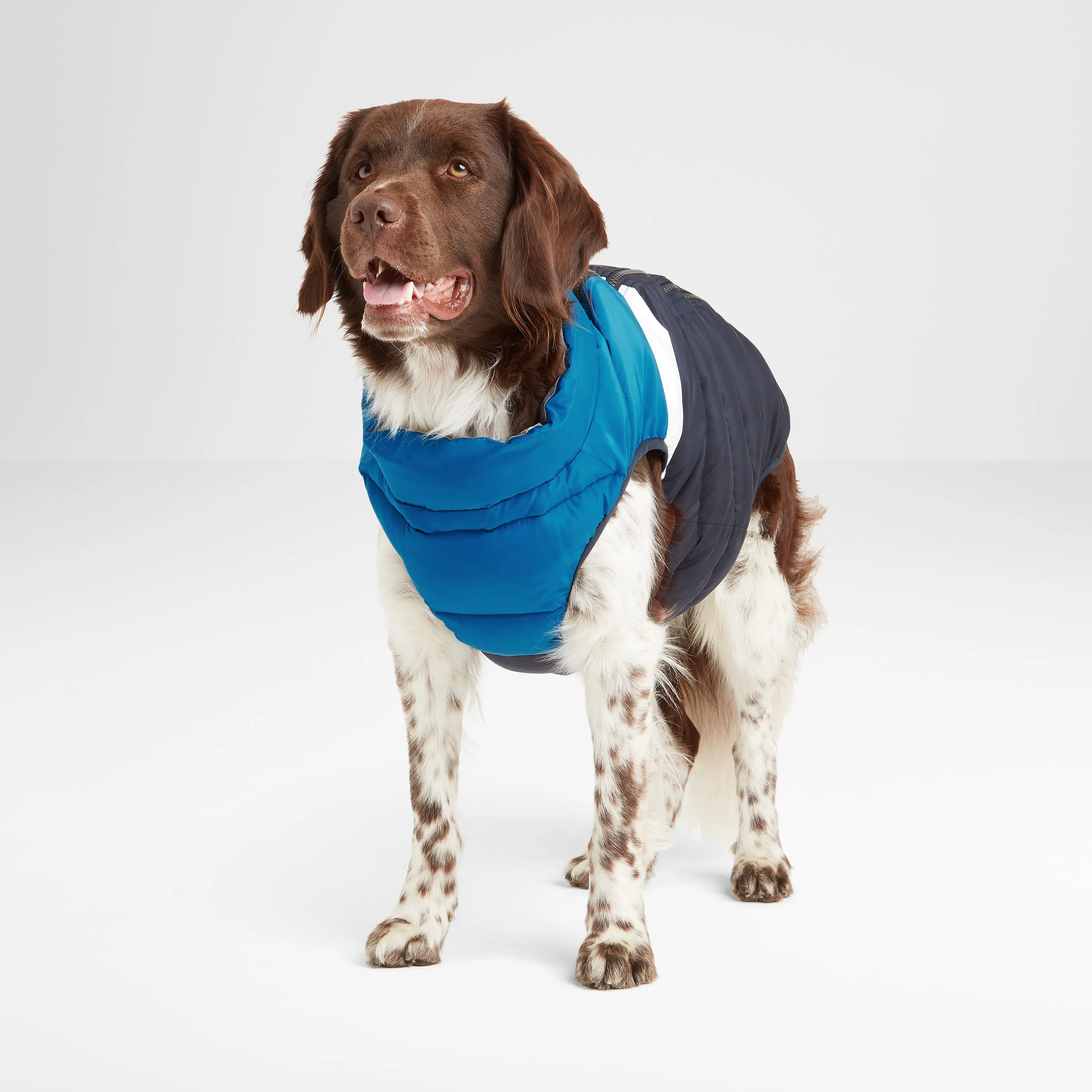 Fetch Padded Dog Coat XL - Peacock Blue/Dark Indigo/Optic White