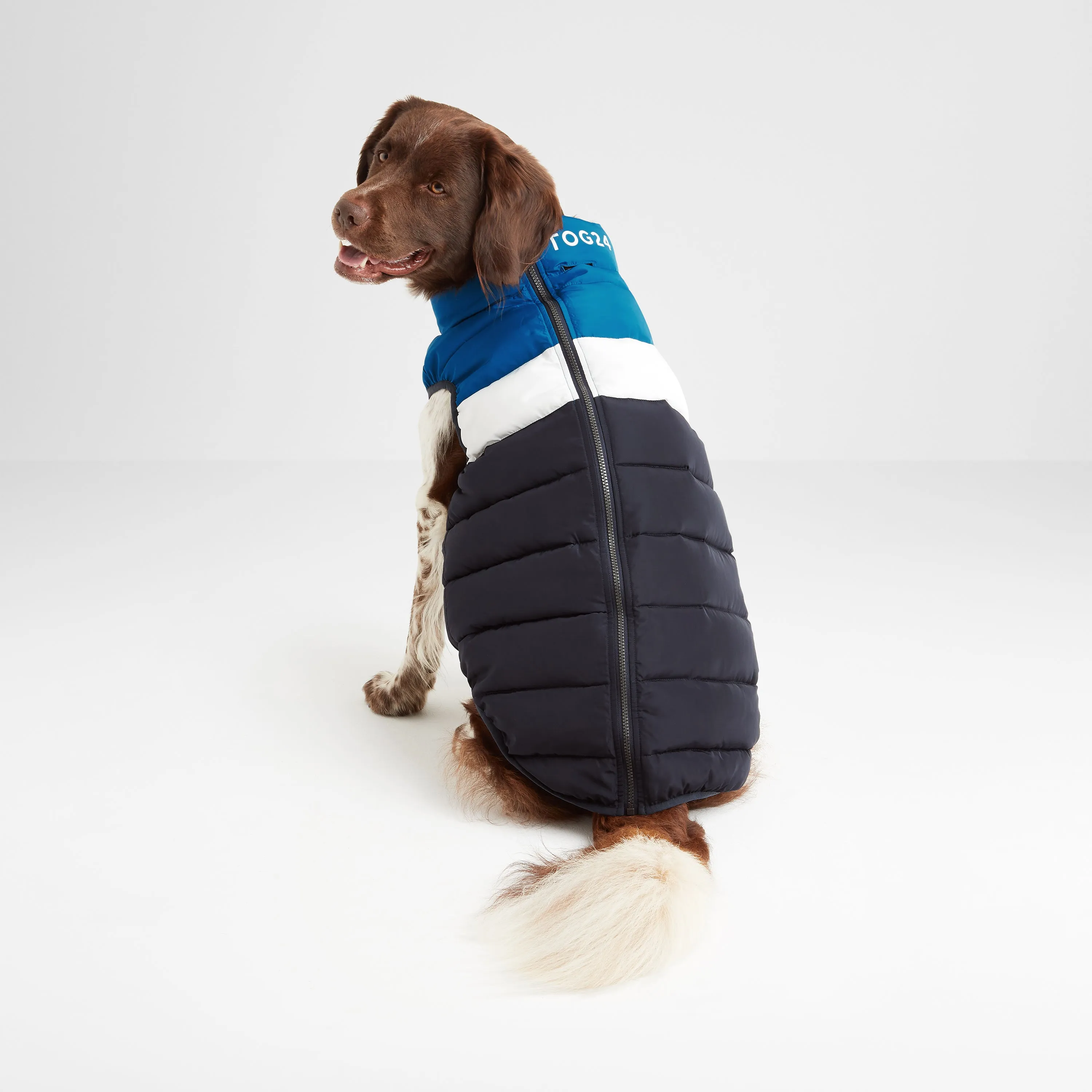 Fetch Padded Dog Coat XL - Peacock Blue/Dark Indigo/Optic White