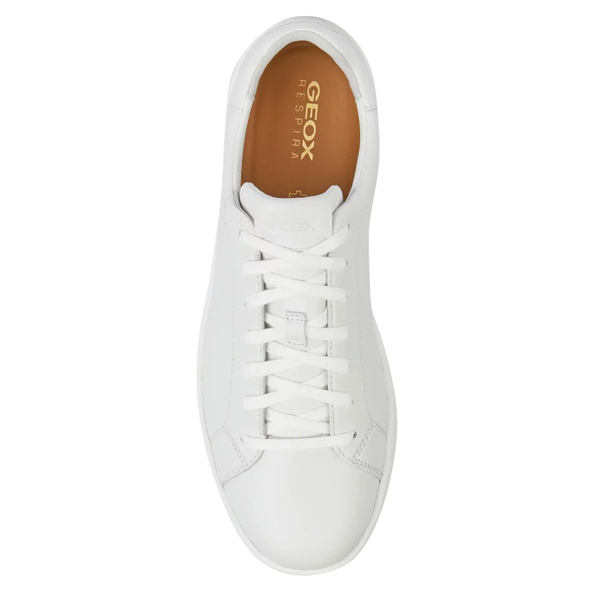 Geox Men's Spherica Ecub-1 White Leather