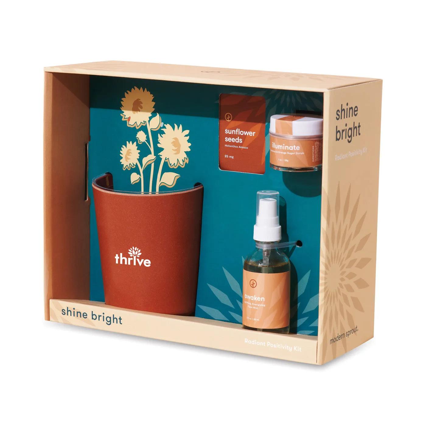 Modern Sprout Shine Bright Take Care Kit - Sunflower